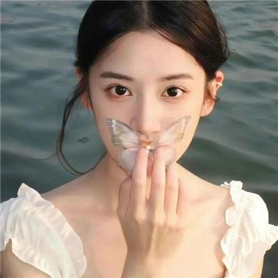 艾维奇的真实故事